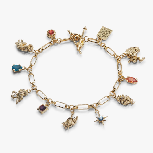A Court of Thorns and Roses Book Covers Charm Toggle Bracelet